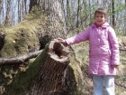 Dalma lányom egy kivágott fával
