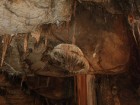 Vörös-tói barlang - a Napraforgó