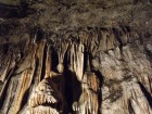 Aggteleki barlang - az Anyósnyelv