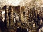 Aggteleki barlang - az Oszlopok csarnoka