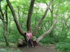 Tordai-hasadék - Anett Dalmával egy érdekes fa előtt